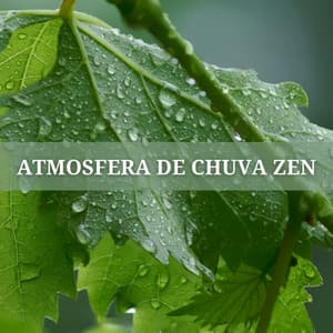Atmosfera De Chuva Zen - Música Romântica