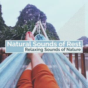 Natural Sounds of Rest - Relaxing Sounds Of Nature