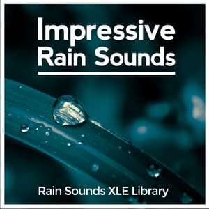 Impressive Rain Sounds - Rain Sounds XLE Library