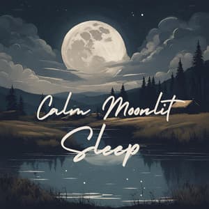 Calm Moonlit Velvet Hours - Yanan Time