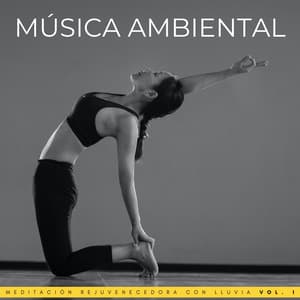 Música Ambiental: Meditación Rejuvenecedora Con Lluvia Vol. 1 - Relajación Lluvia Meditación
