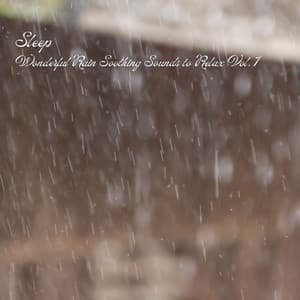 Sleep: Wonderful Rain Soothing Sounds to Relax Vol. 1 - Sleep Recording Studios