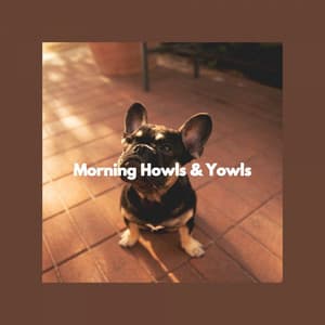 Morning Howls & Yowls - Musica para Perros