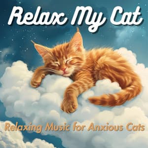 Relax My Cat - Relaxing Music for Anxious Cats - Relax My Cat