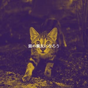 猫の親友になろう - Dinner Party Jazz Radio
