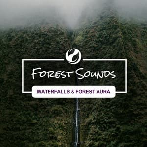 Waterfalls & Forest Aura - Forest Sounds