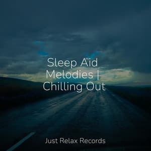 Sleep Aid Melodies | Chilling Out - Study Music & Sounds