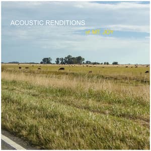 Acoustic Renditions of Mt. Joy - Guitar Tribute Players