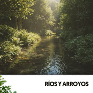 Ríos y Arroyos: Armonias del río - Relajacion