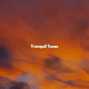 Tranquil Tunes - Restaurant Bossa Nova Deluxe