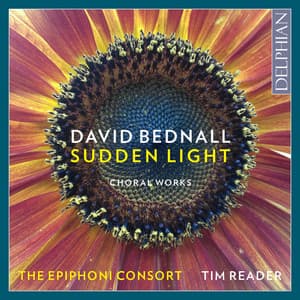 David Bednall: Sudden Light - David Bednall