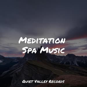 Meditation Spa Music - Nature Sound Collection