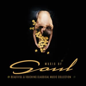 Music of Soul. Beautiful & Touching Classical Music Collection - Classy Interpretations Lovers