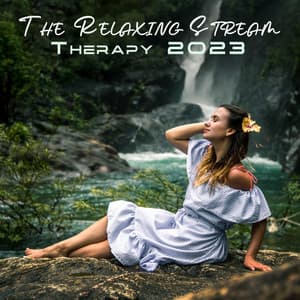 The Relaxing Stream Therapy 2023: The Easy Life Sensations, Natural Calm Atmosphere Of The World, The Water Spa Sounds - From The Best Flicks