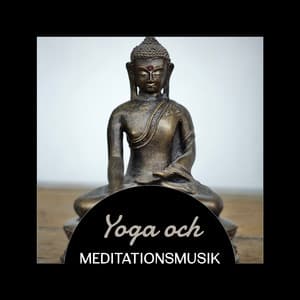 Yoga och meditationsmusik - De bästa avkopplande spåren med naturens ljud, Stressavlastning, Kroppsövningar - Yoga Terapi Samling