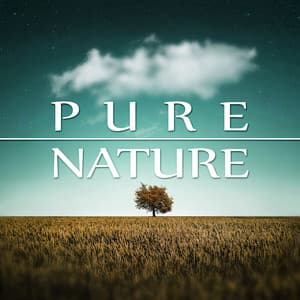 Pure Nature – Natural Harmony, Waves, Calm Music for Yoga, Massage Sounds, Spa Therapy, Nature Sounds, New Age - Awesome Nature Sounds Ensemble
