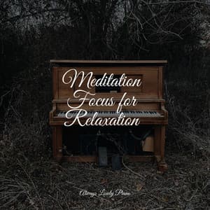 Meditation Focus for Relaxation - Piano Music for Exam Study