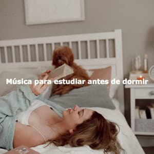 Música para estudiar antes de dormir - Musica da Lavoro
