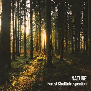 Nature: Forest Stroll Introspection - Sounds of Nature Noise