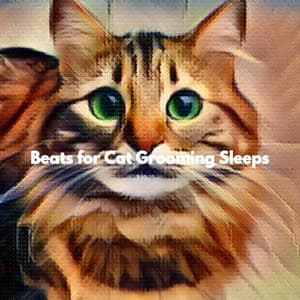 Beats for Cat Grooming Sleeps - Música Suave para Cafe
