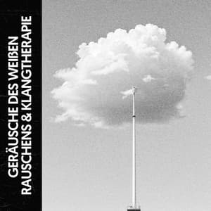 Weißen Rauschens & Klangtherapie: Harmonie im Chaos - Cat Music Therapy