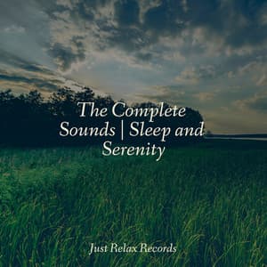 The Complete Sounds | Sleep and Serenity - Musica Reiki
