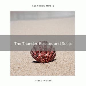 The Thunder, Escape, and Relax - Raining for Calm Pets