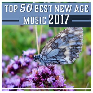 Top 50 Best New Age Music 2017 – Sleep, Meditation, Spa, Massage, Wellness, Yoga, Reading, Learning, Relaxation, Healing Nature Sounds - Relaxation Music Academy