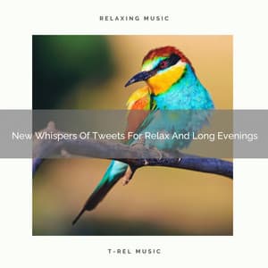 New Whispers Of Tweets For Relax And Long Evenings - Organic Nature Sounds