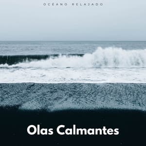 Olas Calmantes: Océano Relajado - Los sonidos de las olas del mar