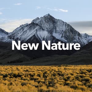 New Nature - Nature Sounds