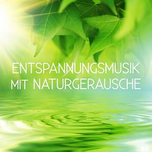 Entspannungsmusik mit Naturgeräusche - Erholung Musik, Entspannung für Herz, Wellness Musik , Musik für Konzentration, Musik für Meditation, Therapie Musik, Gelassenheit - Wellness Entspannung Akademie