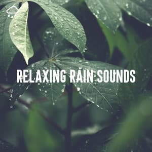 Relaxing Rain Sounds - Relaxing Rain Recordings