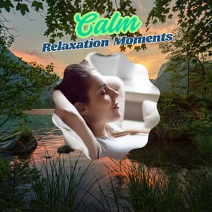 Wooded Retreat Calming Music For Relaxation - Calm Relaxation Moments