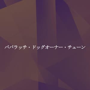 パパラッチ・ドッグオーナー・チューン - Hotel Lounge Deluxe