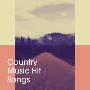 Country Music Hit Songs - The Country Music Heroes