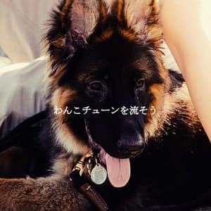 わんこチューンを流そう - Deluxe Cafe Jazz