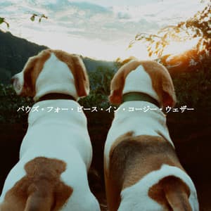 パウズ・フォー・ピース・イン・コージー・ウェザー - Cafe Musik