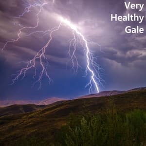 Very Healthy Gale - Rain Storm Sounds