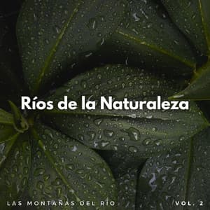Ríos De La Naturaleza: Las Montañas Del Río Vol. 2 - Sonido del río para dormir