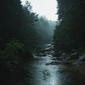 Lullaby Relaxing Sleep Sough - White Sound