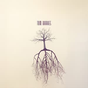 Rooted in Quiet Awareness - Tom Barkes