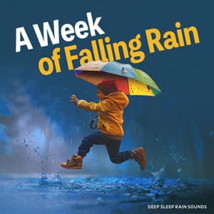 A Week of Falling Rain - Deep Sleep Rain Sounds