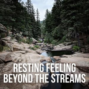 Resting Feeling beyond the Streams - Ultimate Reiki