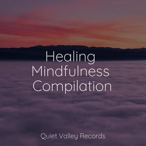 Healing Mindfulness Compilation - Instrumental