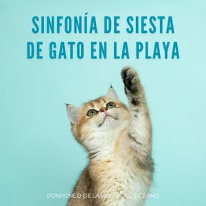 Sinfonía De Siesta De Gato En La Playa: Ronroneo De Las Olas Del Océano - Sonidos Naturaleza