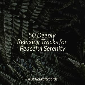 50 Deeply Relaxing Tracks for Peaceful Serenity - Meditación Guiada