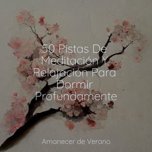 50 Pistas De Meditación Y Relajación Para Dormir Profundamente - Piano Suave Relajante