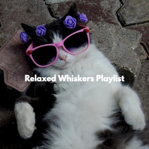 Relaxed Whiskers Playlist - Musique Matinale Calme Radio