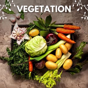 Vegetation - Binaural Landscapes